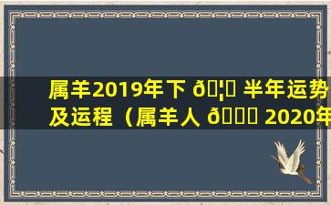 属羊2019年下 🦊 半年运势及运程（属羊人 💐 2020年下半年运势及运程）